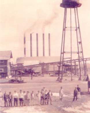 cummer_sawmill_1923.jpg